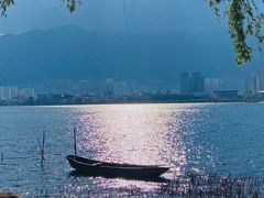 -洱海月湿地公园