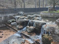 -白水寺森林公园