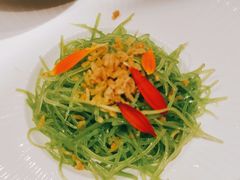 酥米青笋丝-枕水江南(铁西万象汇店)