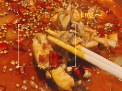 牛蛙-宽口美蛙鱼头(大唐西市店)