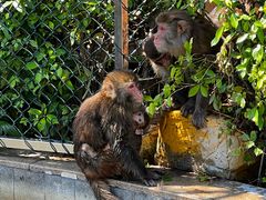 -珠海海泉湾神秘岛亲子乐园
