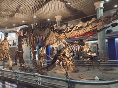 -国家自然博物馆