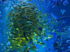 -波塞冬旅游度假区