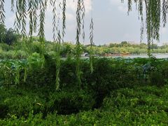 -济南大明湖景区