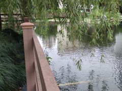 -苏州河梦清园环保主题公园