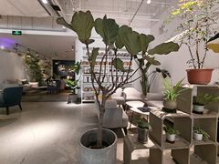 -张一元茶庄(望京店)