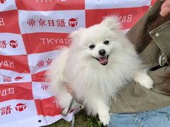 -帝京日语(春熙路旗舰校区)