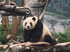 -石排湾郊野公园