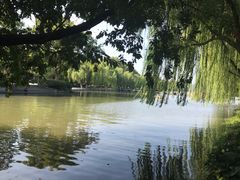 -星巴克(西湖天地店)