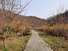 -武汉姚家山旅游景区