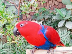 -南宫五洲植物乐园