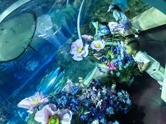 -芜湖新华联大白鲸海洋公园
