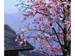-九皇山景区