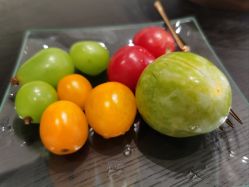 -琴美美容美发·三美会所