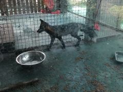 -泉州海丝野生动物世界