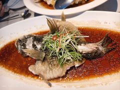 -曼格纳·曼芯馆(杨浦店)