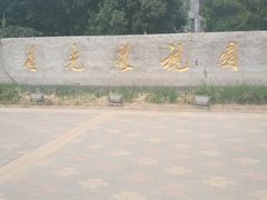 -星光影视园