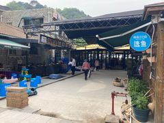-京北渔家傲
