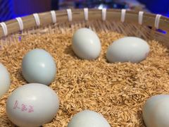 -徐家屯铁锅炖(宋家庄店)