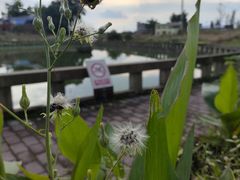 -聂荣臻元帅故居