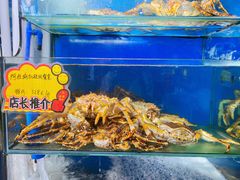 水产区-蚝专家(北滘店)