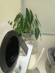 -安那般那皮肤年轻化ANAPANA