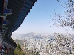 -兰山公园