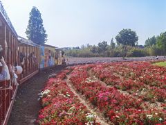 -歌斐颂巧克力小镇