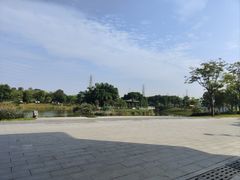 -王借岗森林公园