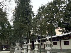 -兴教寺