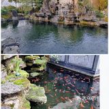 坐落花溪区的悦子庭典藏餐厅