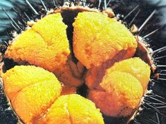 -南山小渔村•大连海鲜大连菜(七七街店)