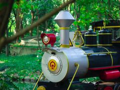 -上海共青森林公园