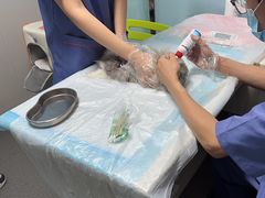 -半岛宠物医院24小时(科华中路店)