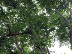 -四川大学(华西校区)