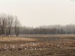 -东郊湿地公园
