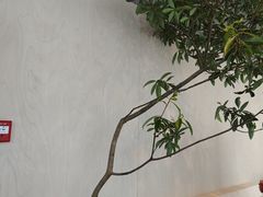 -喜茶(珠海华发商都店)