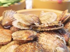 扇贝-龍歌自助小火锅(李沧丽达店)