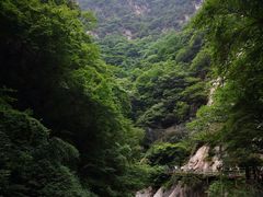 -秦岭风景区