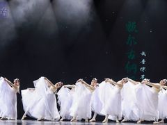 -武汉音乐学院徐东基地