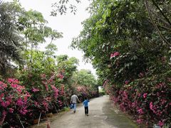 -天下先生态园农庄CS团建露营地(海鸥岛店)