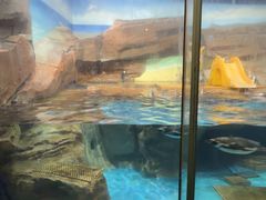 -海合安武汉极地海洋公园