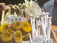 -南城十里潮汕鲜牛火锅·鲜虾生滚粥(融汇老商埠店)
