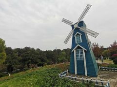 -铁山坪森林公园