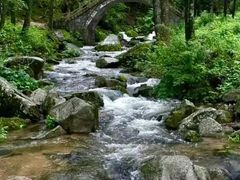 -洛阳白云山景区