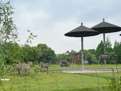 -宁波野生动物园