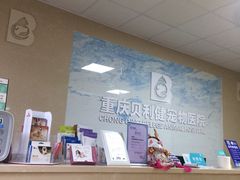 -宠颐生贝利健动物医院(谢家湾分院)