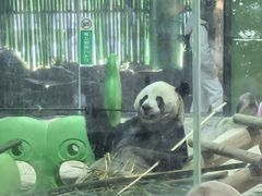 -栾川竹海野生动物园