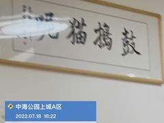 -鼓捣猫呢主题猫咖店