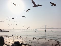 -星海广场